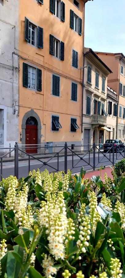 Claudia'S Home Pescia Ngoại thất bức ảnh